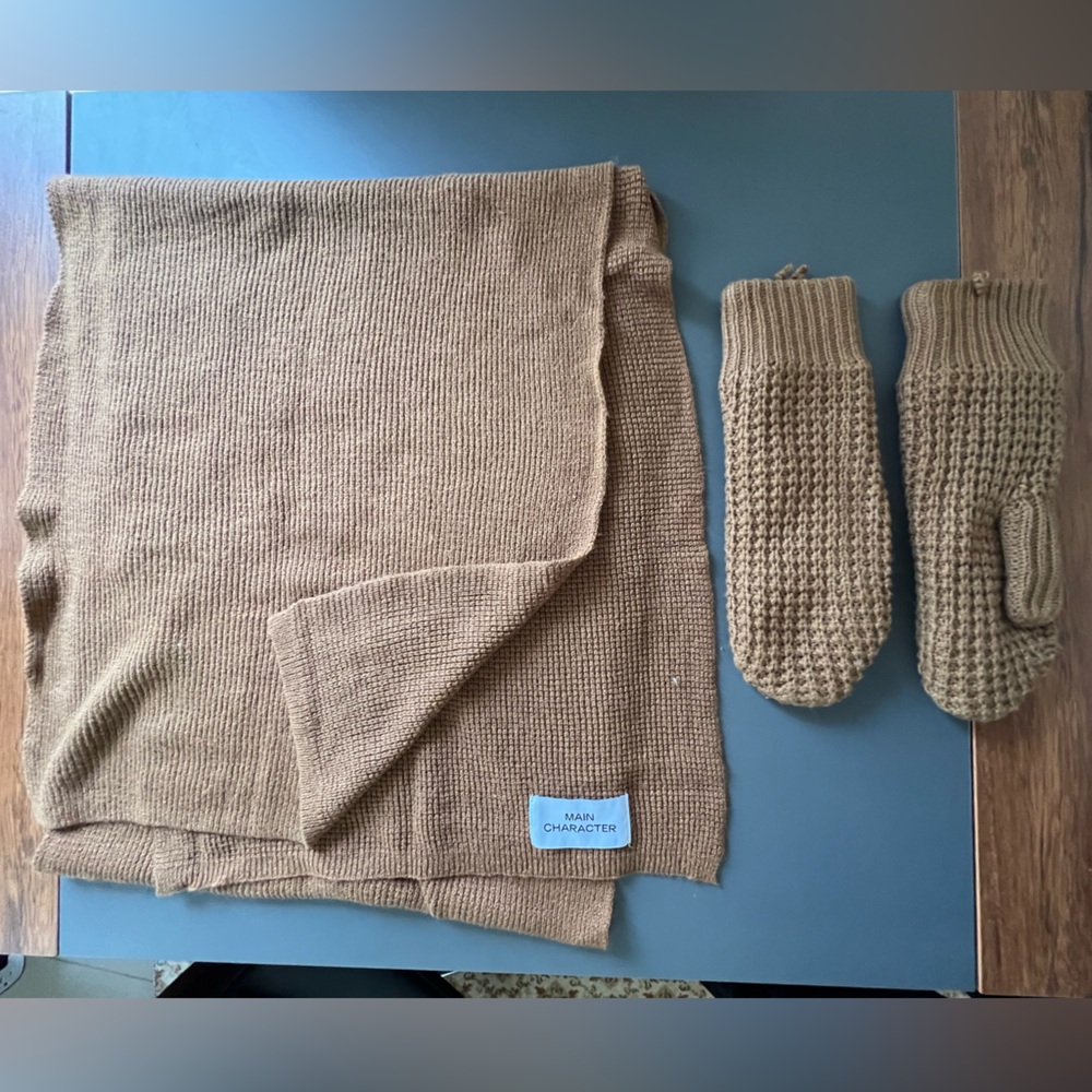 Aritzia MAIN CHARACTER scarf and mittens